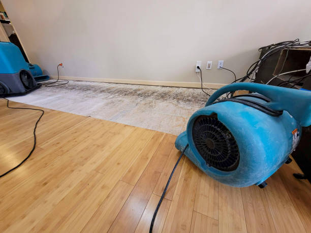 Professional Flood Damage Cleanup technician working in Davis, NC